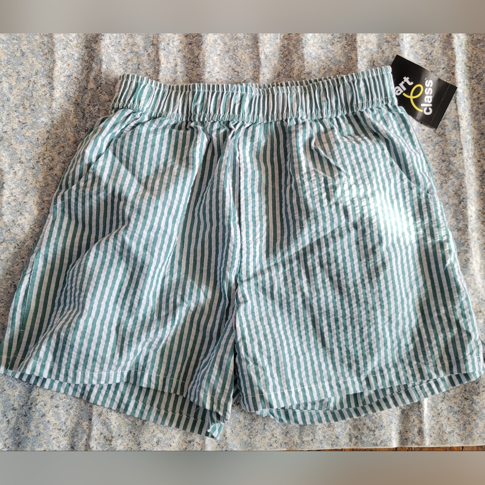🎯 Art Class Seersucker Striped Shorts Girls Sz L (10-12) Mint & White